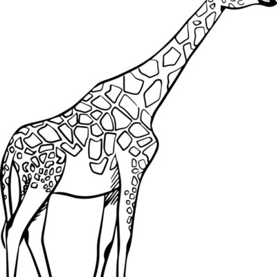 Giraffe   Clipart 2 Thumbnail