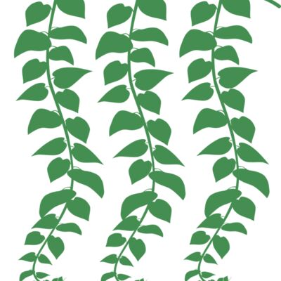 Hanging Plants Thumbnail