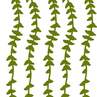 Hanging Plants 2 Thumbnail