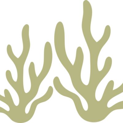 Sea Plants 2 Thumbnail
